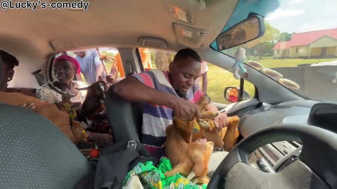 Налоговый водитель года 😂