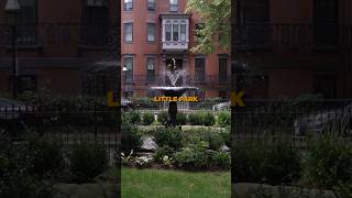 Look at This Hidden Gem in South End!