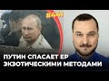 Странная борьба Владимира Путина