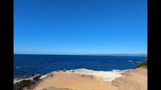ほんすこ餓狼からのほんすこブランカ！