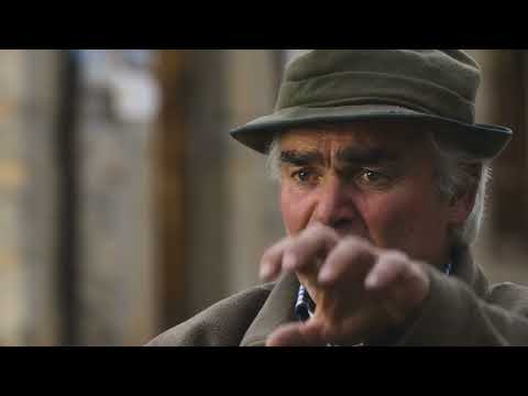 Transhumance II - by Paco Morgado Part 2