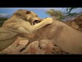 Golabchi Educational Center Tour | Wilderness by Klaus