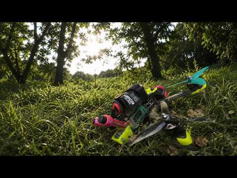 I Crashed My New DJI O4 Air Unit in a Mango Orchard!