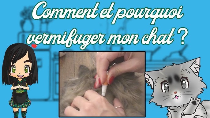 Broadline Traitement Contre Les Vers Et Les Puces Chez Les Chats Youtube Broadline Traitement Contre Les Vers Et Les Puces Chez Les Chats Youtube