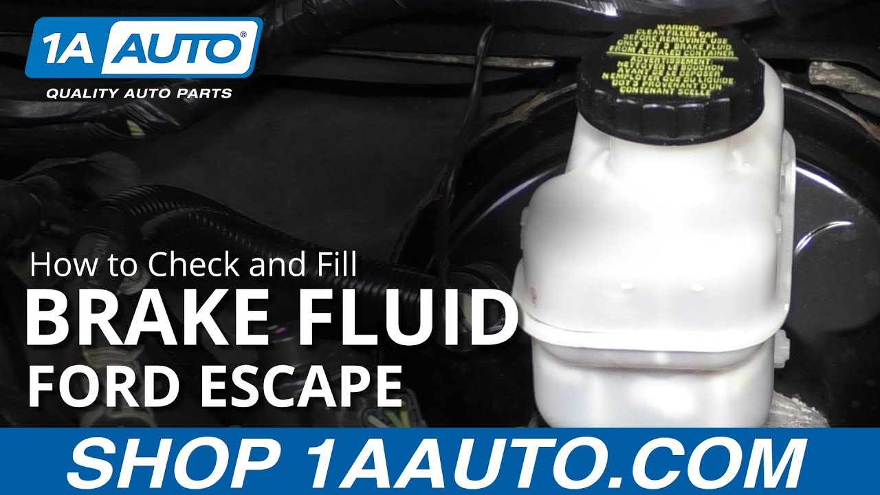 How to Check and Fill Brake Fluid 2008-12 Ford Escape | 1A Auto