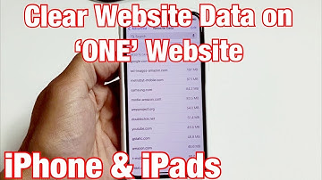 iPhone & iPads: How to Clear History & Website Data for ONE Website