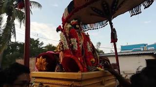 Sri Adhikesava Perumal - Vallipuram - Chengalpet- Thiruvethi Purapadu -Pavitra Utsavam 2019