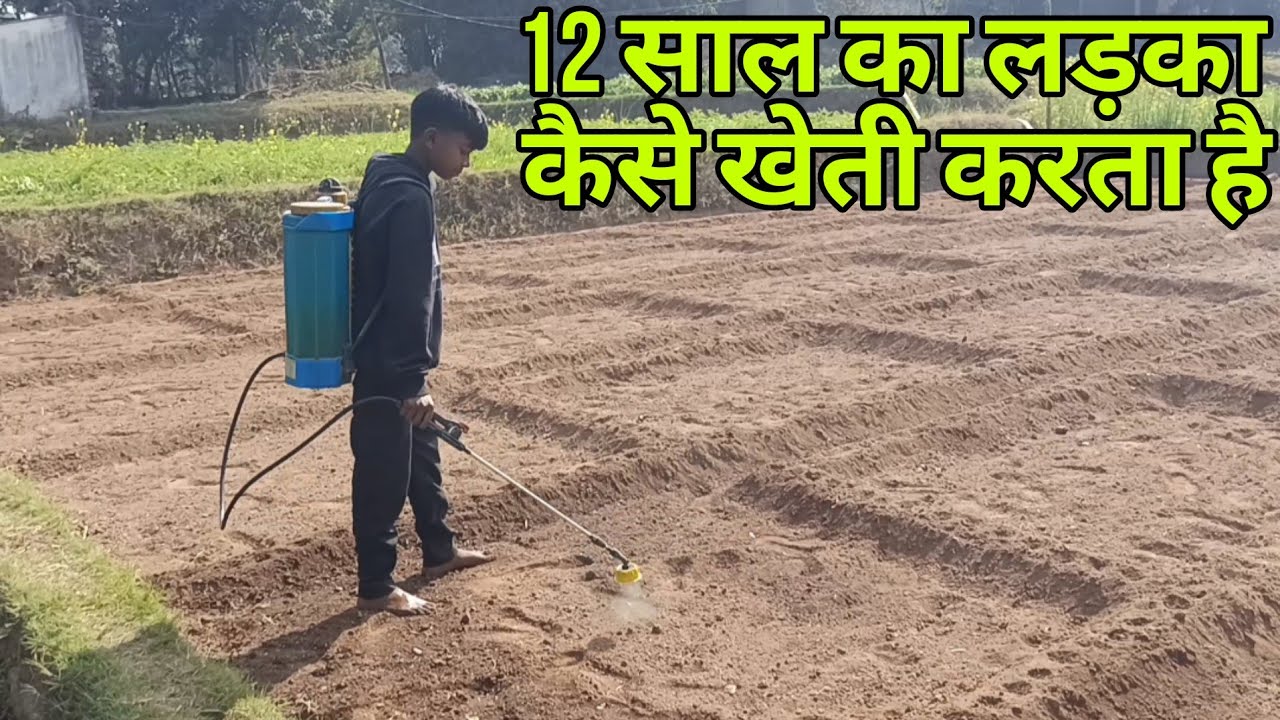 प्याज का खेती कैसे करें//12 साल का लड़का खेती कैसे करता है// pyaj ka kheti kaise karen