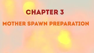 MOTHER SPAWN PREPARATION | CHAPTER 3 | EASY WAY TO CULTIVATE OYSTER MUSHROOM