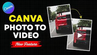 Turn Images Into Short Videos in Canva | New Feature Walkthrough