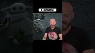What does Nick think of The Mandalorian and Grogu?