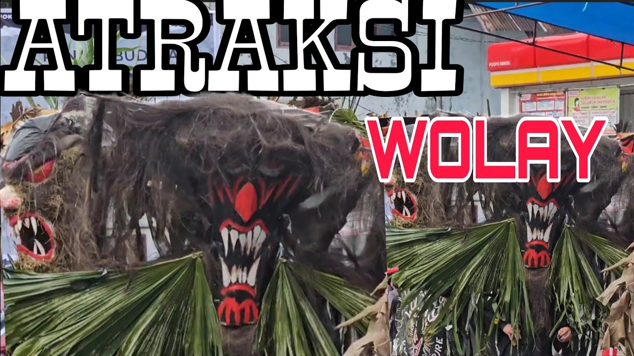 Atraksi Wolay Tradisi Minahasa Selatan Setiap Awal Tahun