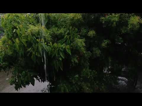 Heavy Rain Sounds For Sleeping - Fall Asleep in 5 Minutes With Rain Sounds