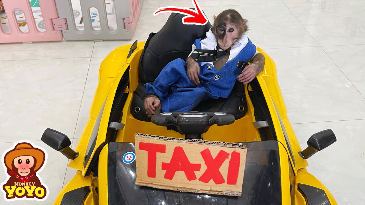 A Tragic Day of Driver YoYo Jr YouTube