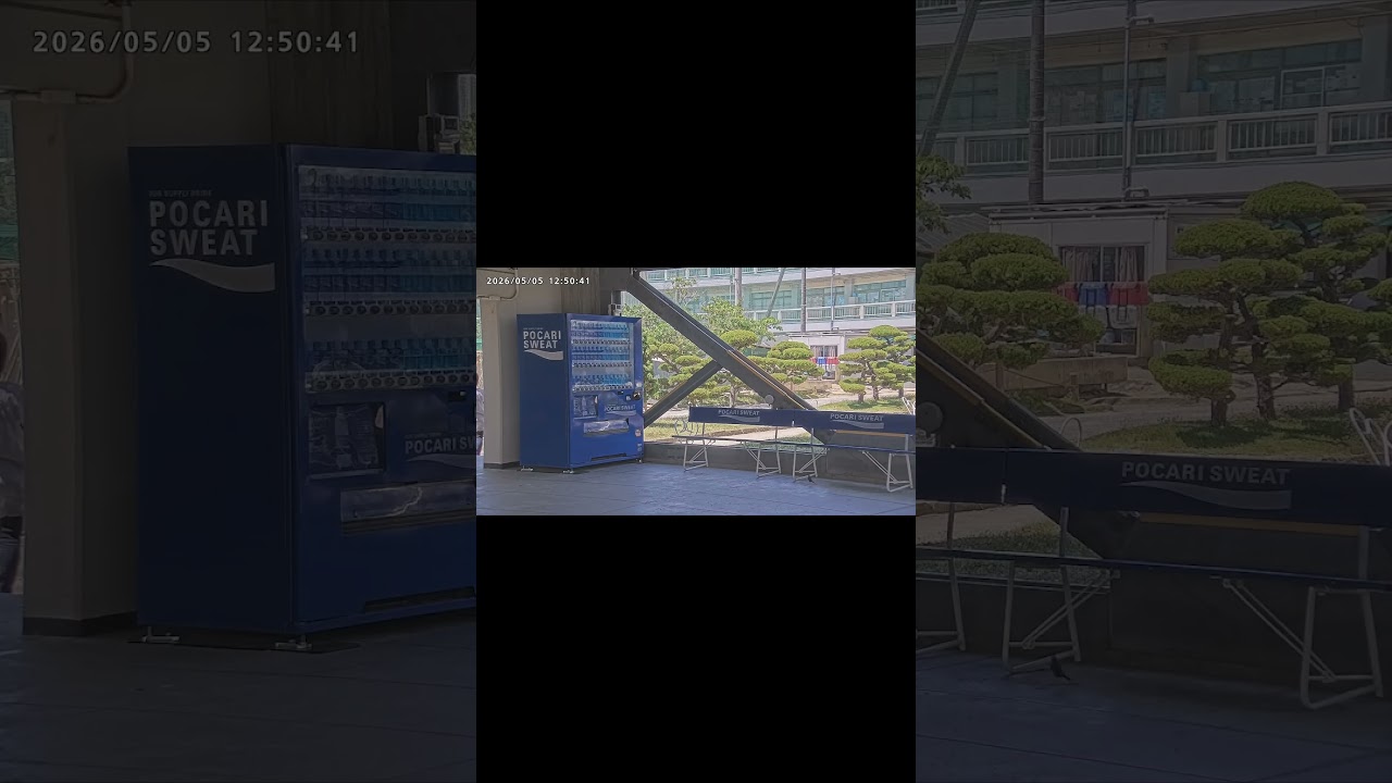 365日、学校の片隅で。｜休日のスズメ #ポカリ365