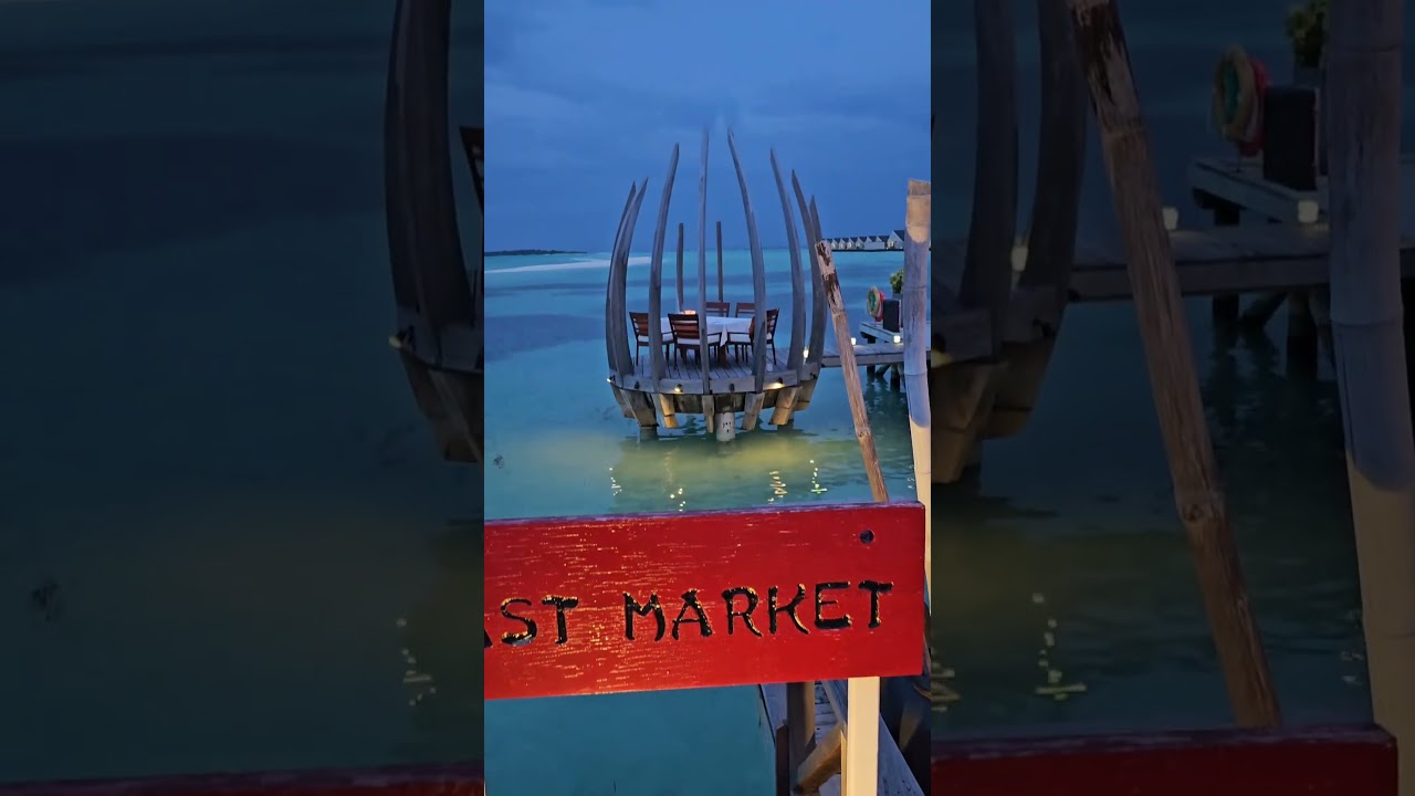 Lux South ari atoll maldives. 2025. 5* Luxury.   This is the must delicious food and location