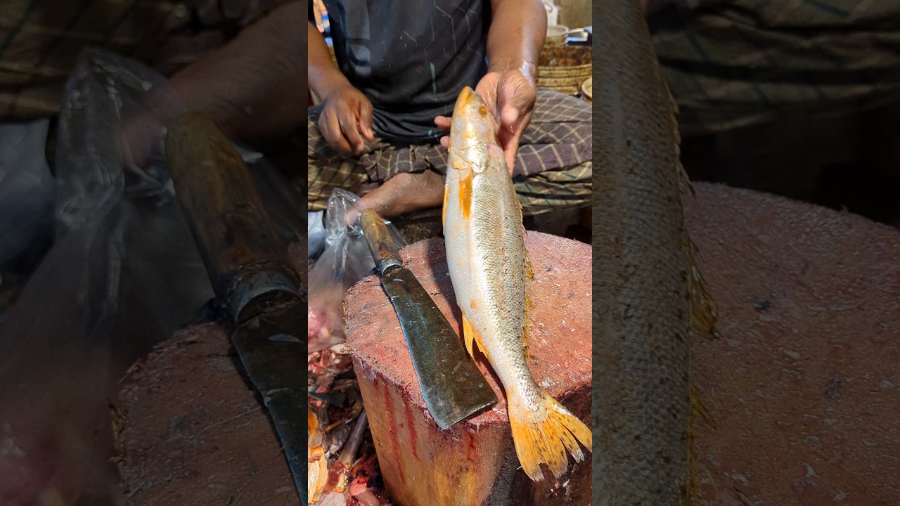 Wow!! Big Giant Rohu: Fish Cleaning & Cutting in Village Market 