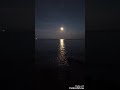 المرحوم الشيخ عمر الزاهي الساعة الاخيرة