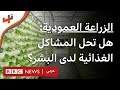 كيف ستمكننا الزراعة العمودية من إنتاج محاصيل استراتيجية للمستقبل