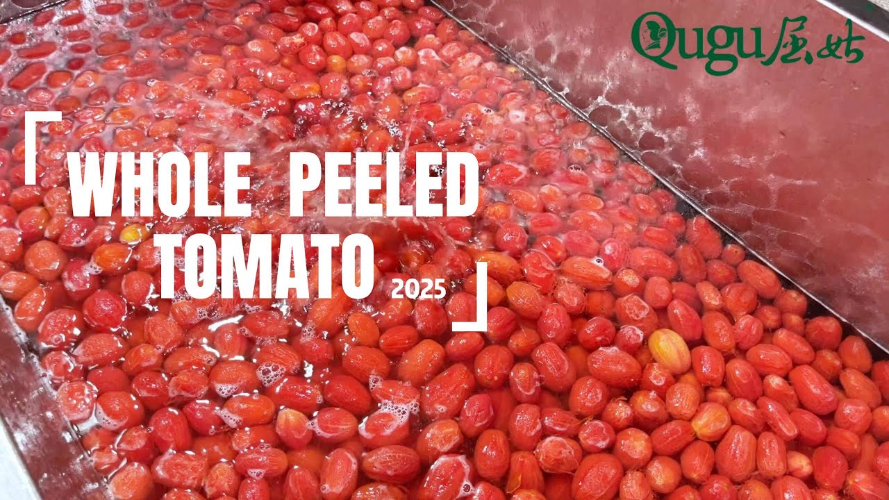 CANNED WHOLE PEELED TOMATO IN PRODUCING