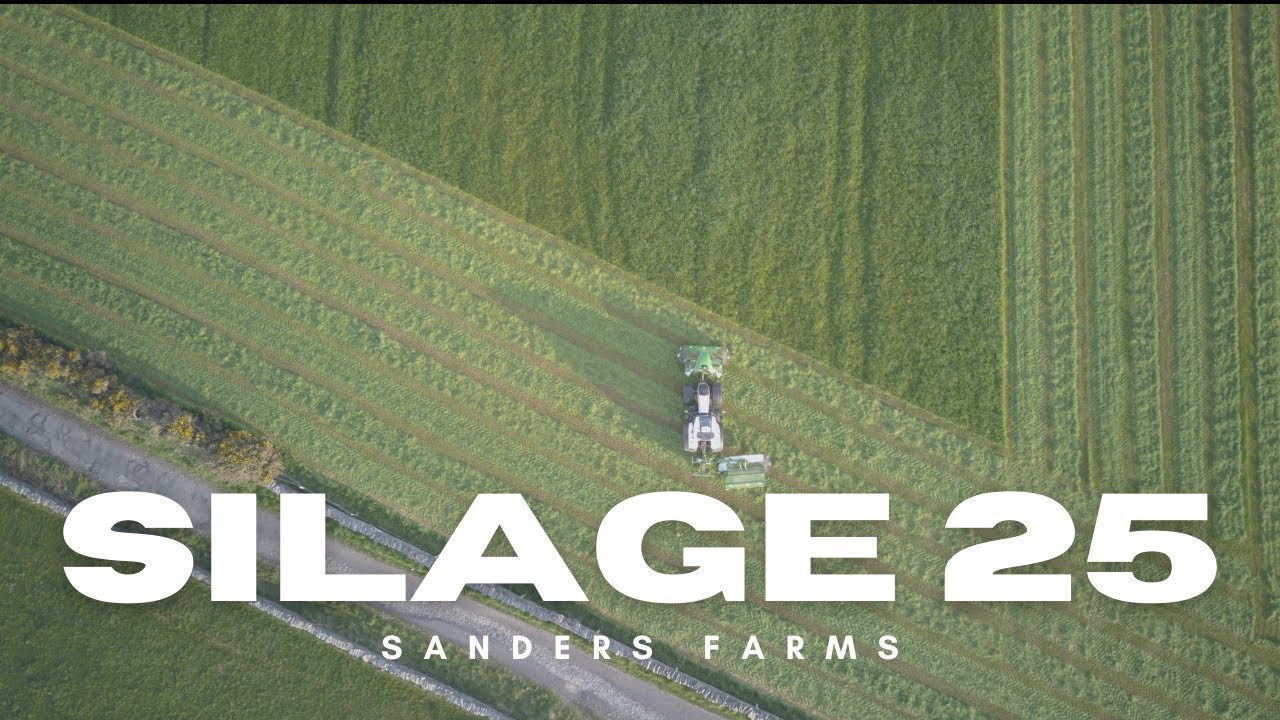 BALES, BALES, BALES...SILAGE 25
