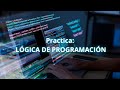 Practica Lógica de programación / Ejercicios Python (4ta parte)