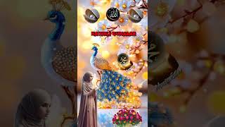 Gül Bahçesi Muhteşem İlahi Irlıalar