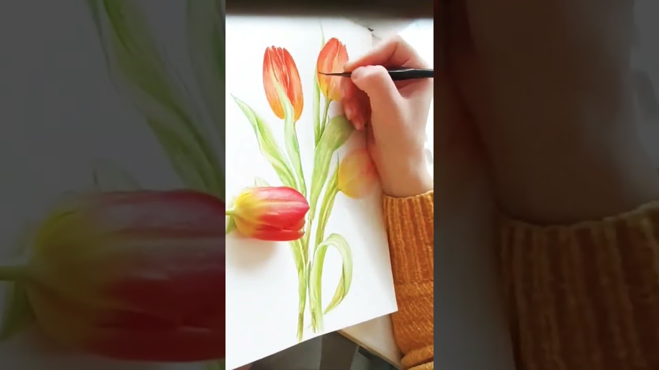 #tulips