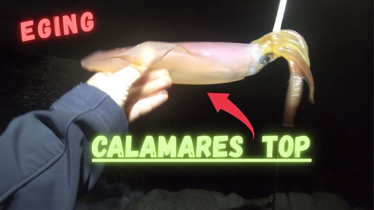 ¡CALAMARES a Eging! Pesca Desde Costa PASO a PASO + Buenas Capturas