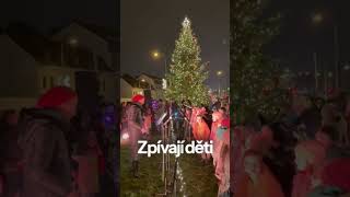 Na Břevnově už vánoční stromeček také svítí. 🎄✨