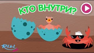 Песенка про яйца 🎸 Кто внутри? 🙄 Капитан Краб 🎬 Загадка