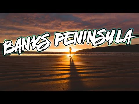 How to travel the Banks Peninsula, New Zealand