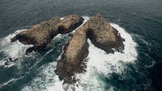 Bear the Mammoth - Known Unknowns (Official Video)