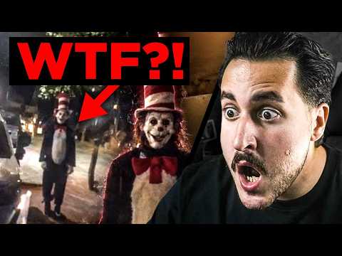 CAT IN THE HAT in Deutschland? 😨 Echte GEFAHR oder Fake?