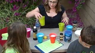Exploring Our Senses