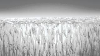 REGENERATE™ Enamel Science: Mode of Action