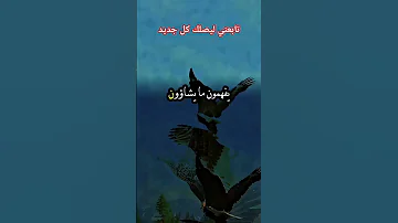 حالات واتس اكسبلور خالد عبدالرحمن تيك توك لايك تصميمي ترند متابعه بلا ولا شي زياد الرحباني 