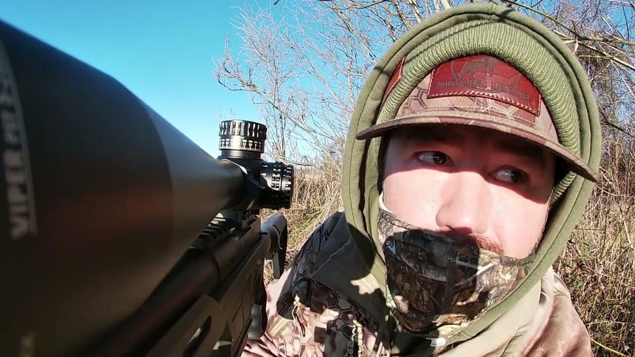 Coyote Hunting Winter Dog West Tn Predator Hunting YouTube