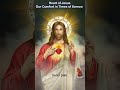 Heart of Jesus -  Our Comfort in Times of Sorrow