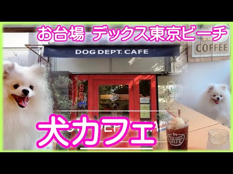 ドッグカフェ お台場 Dog Dept Cafe お台場東京ビーチ店 Dog Cafe In Odaiba Tokyo ドッグデプト Youtube