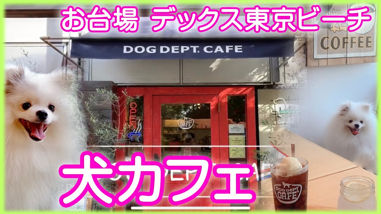 ドッグカフェ お台場 Dog Dept Cafe お台場東京ビーチ店 Dog Cafe In Odaiba Tokyo ドッグデプト Youtube