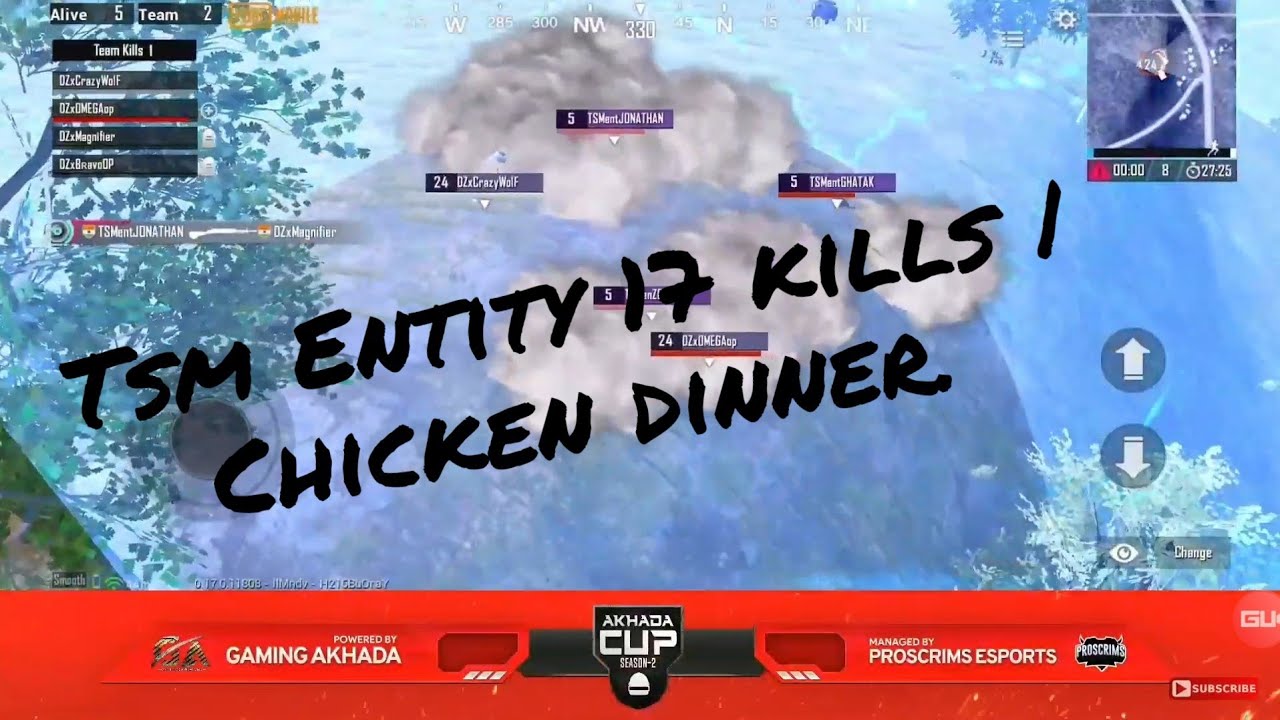 Tsm Entity 17 kills | Chicken Dinner | Final Game Of The Akhada Cup |