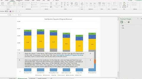 CA 121 Chapter 4 Databases and PivotTables Lesson Video Grader