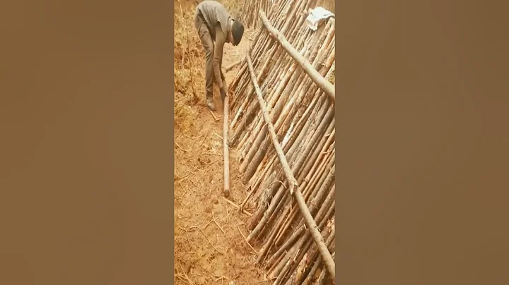 BUILDING A HUNTER HUT WITH A FIREPLACE - BUSHCRAFT SHELTER FROM WOOD AND CLAY  #Survival  #summer