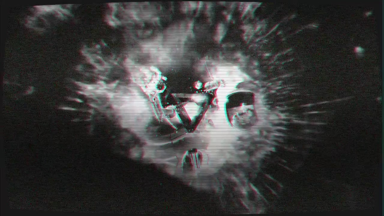 Reagan Bombs — Boat (Music Video)