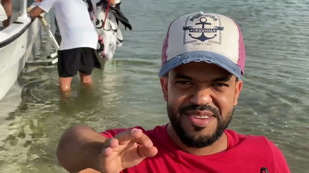 المتوت  بيئةً نظيفة سياحةً جميلة