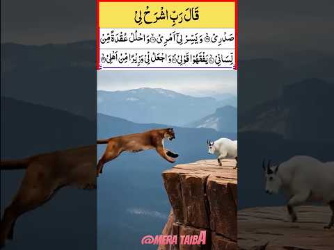 Dua Of Musa AS 💫 موسیٰ علیہ السلام کی دعاء #quran​#egzonibrahimi#viral​#ytshorts​#shorts​#yt​#islam​