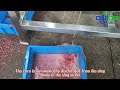 Tomato pulping machine