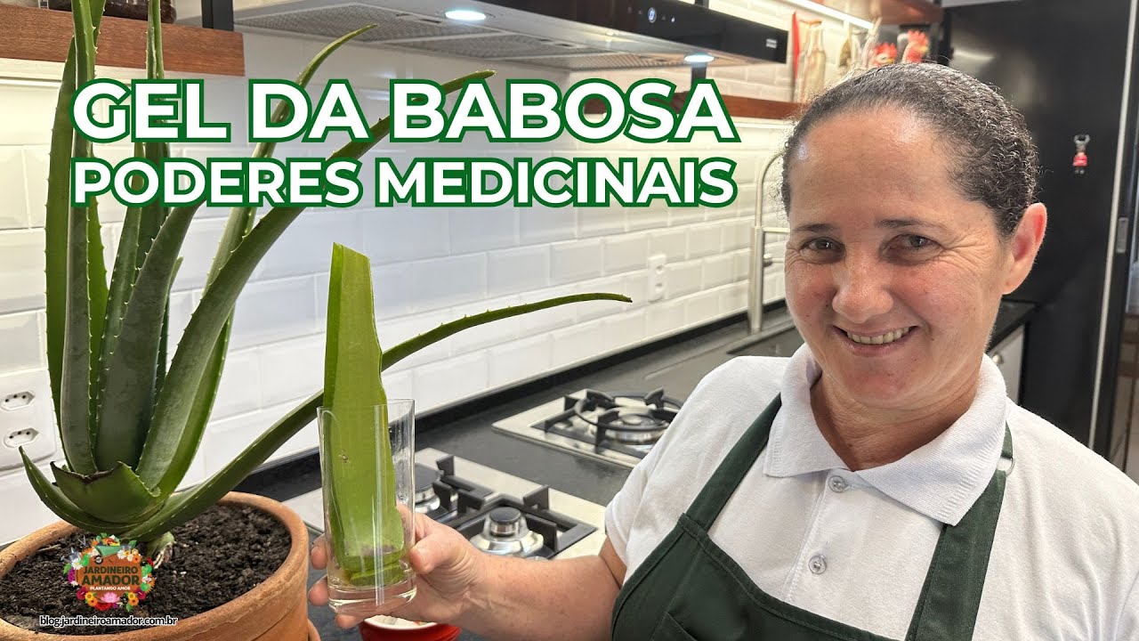 Gel da Babosa | Conheça os Benefícios para Sua Saúde - YouTube