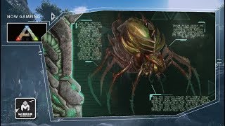 Md Ark Survival Evolved 方舟生存進化 Boss特輯 孕母蜘蛛 Broodmother Lysrix Youtube